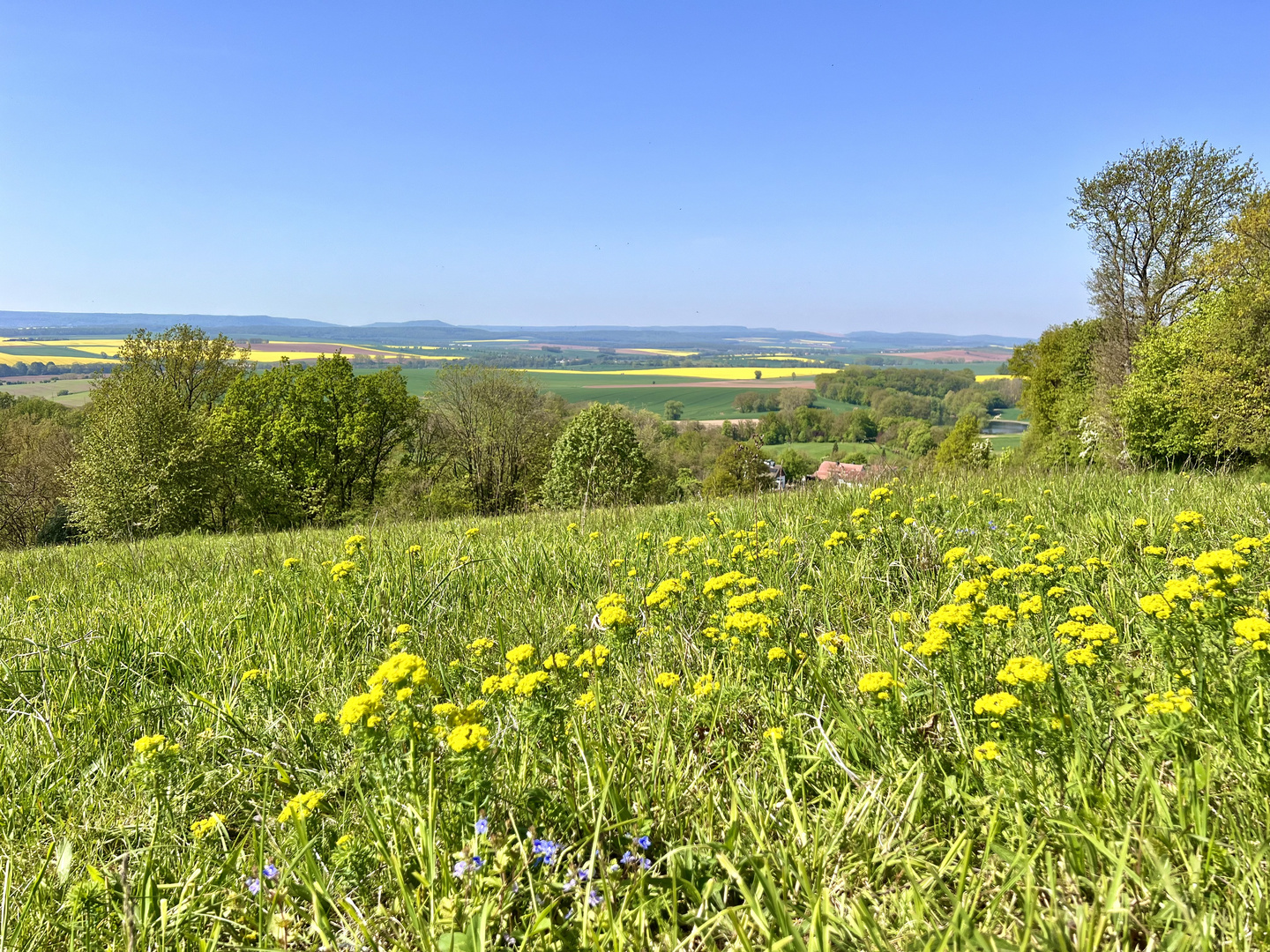 Dem Frühling auf dem Land  ins Gesicht gesehen...