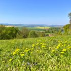 Dem Frühling auf dem Land  ins Gesicht gesehen...