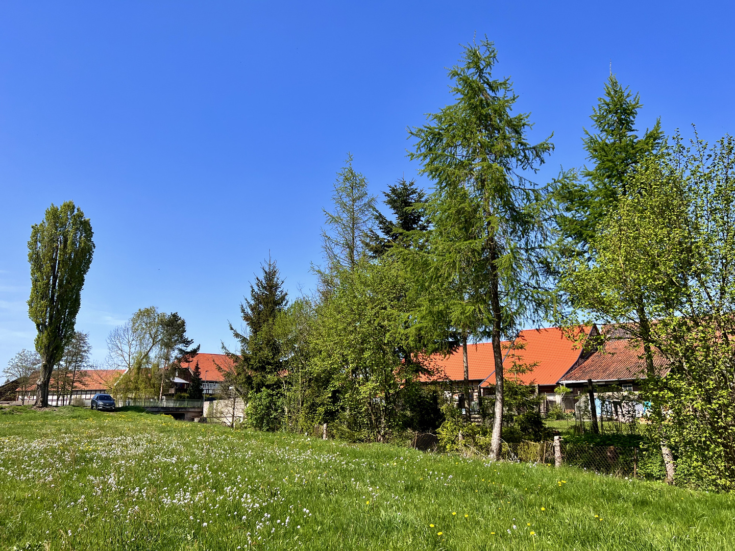 Dem Frühling auf dem Land  ins Gesicht gesehen...