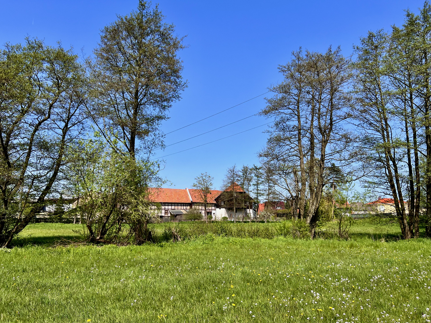 Dem Frühling auf dem Land  ins Gesicht gesehen...