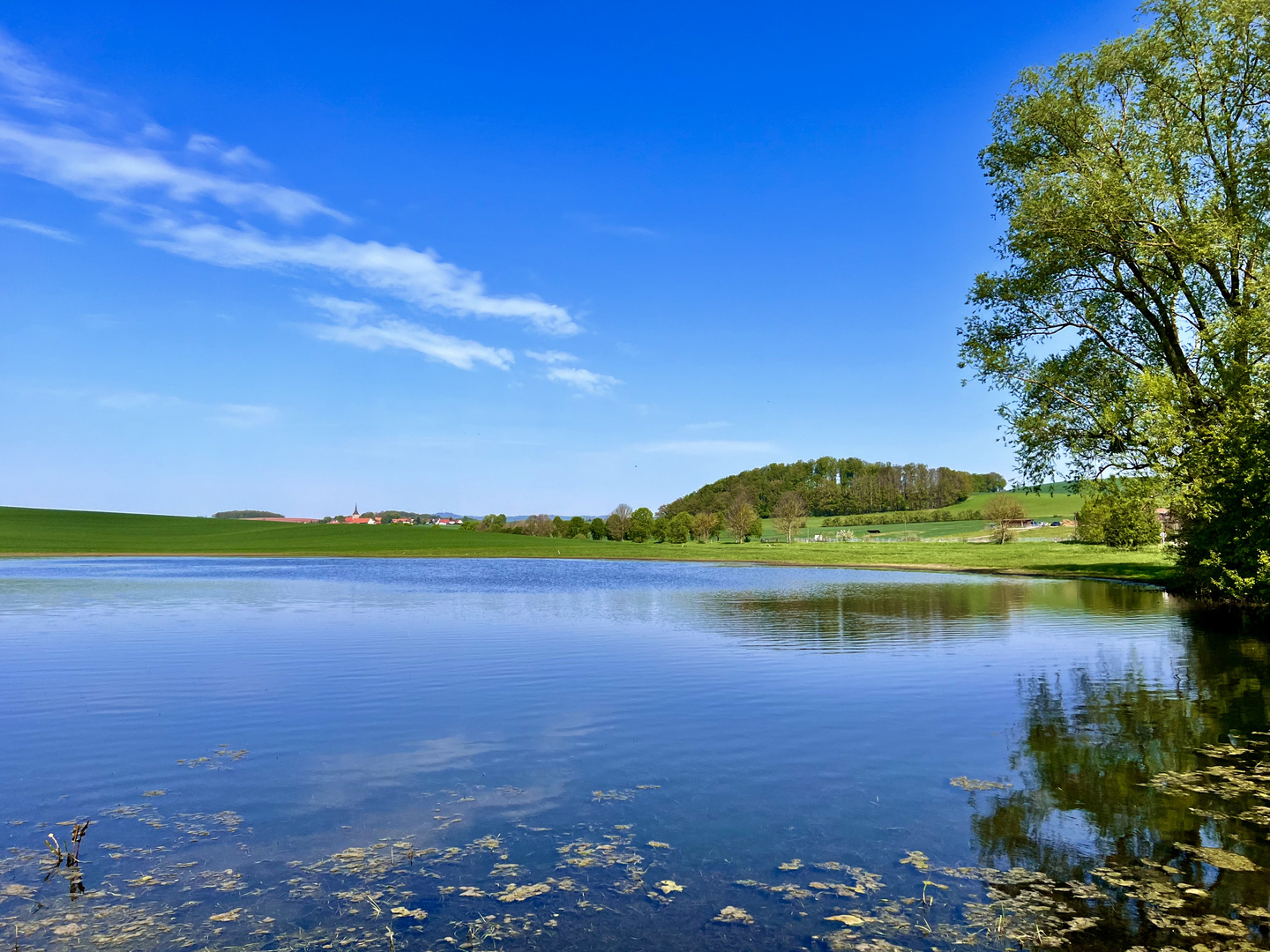 Dem Frühling auf dem Land  ins Gesicht gesehen...