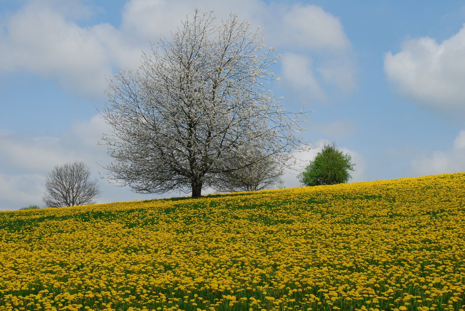 Dem Frühling auf der Spur