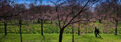 Dem Frühling auf der Spur