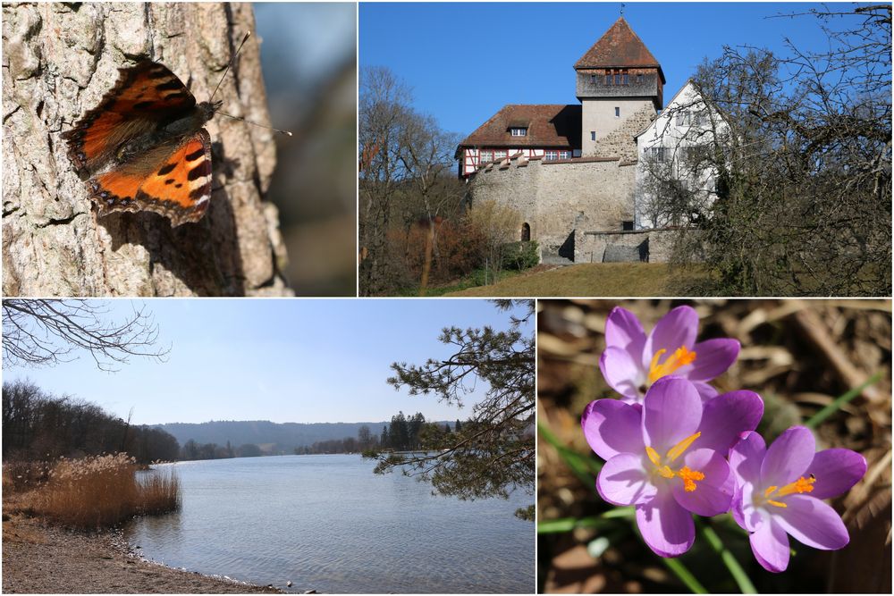 Dem Frühling auf der Spur...