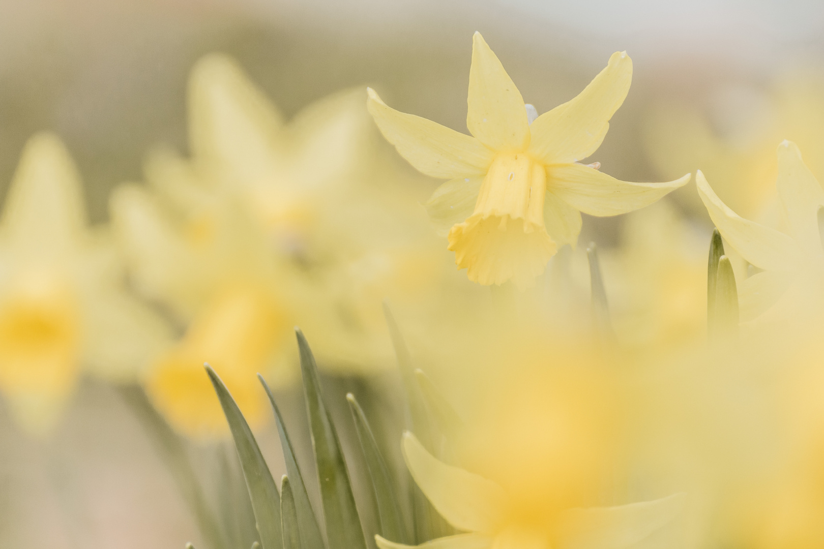 Dem Frühling auf der Spur