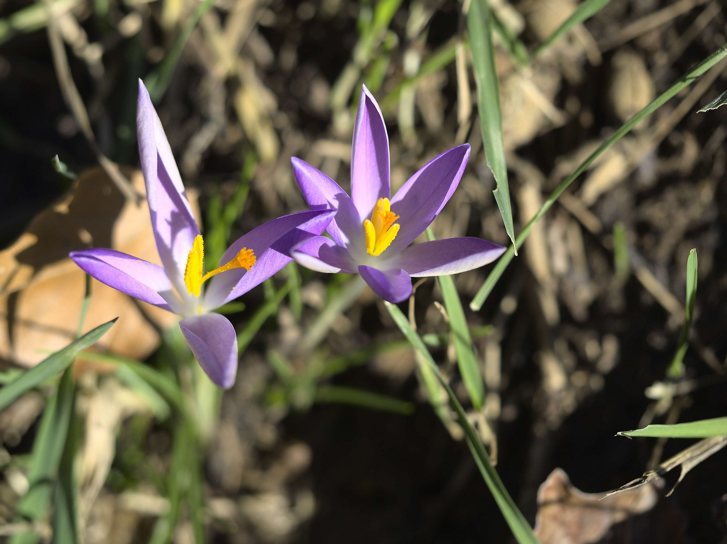 Dem Frühling auf der Spur