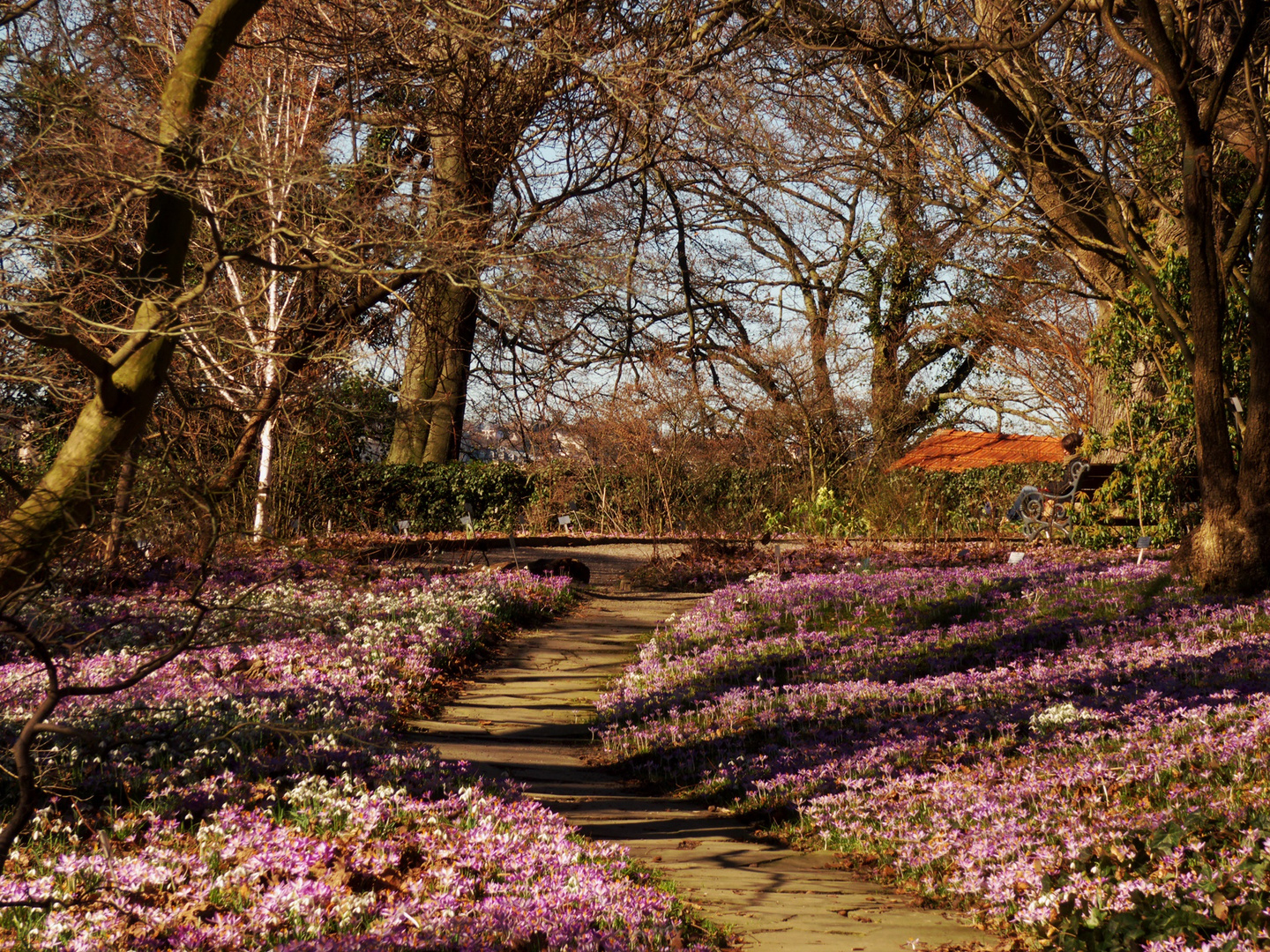 Dem Frühling auf der Spur