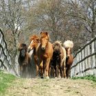 Dem Frühling entgegen ...