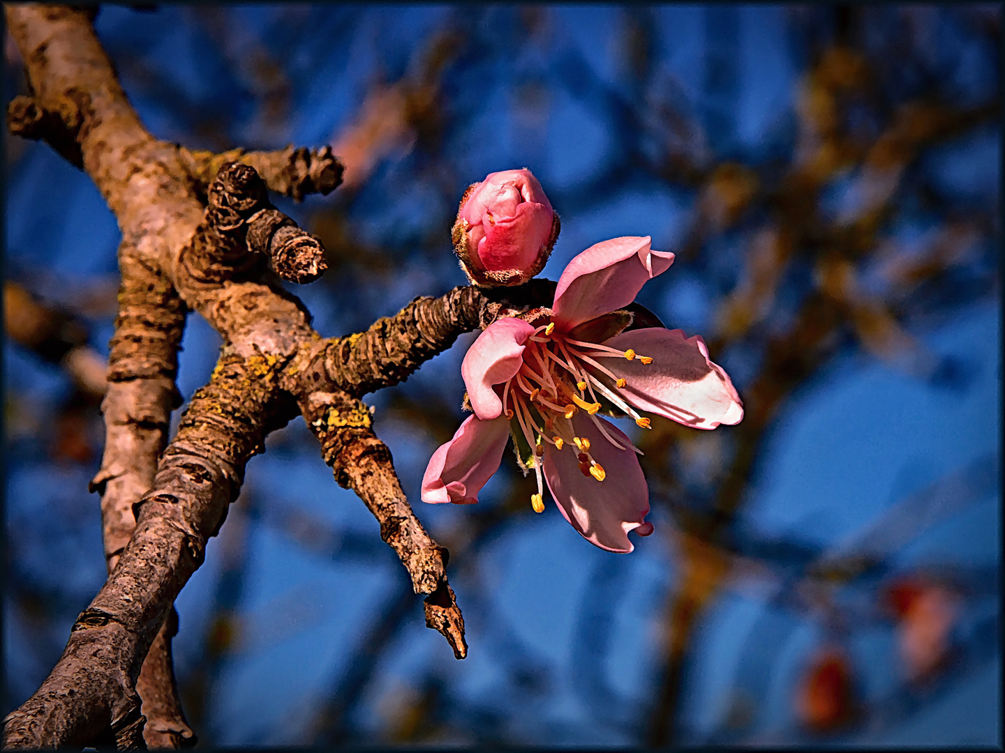 Dem Frühling entgegen