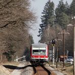 "Dem Frühling entgegen"