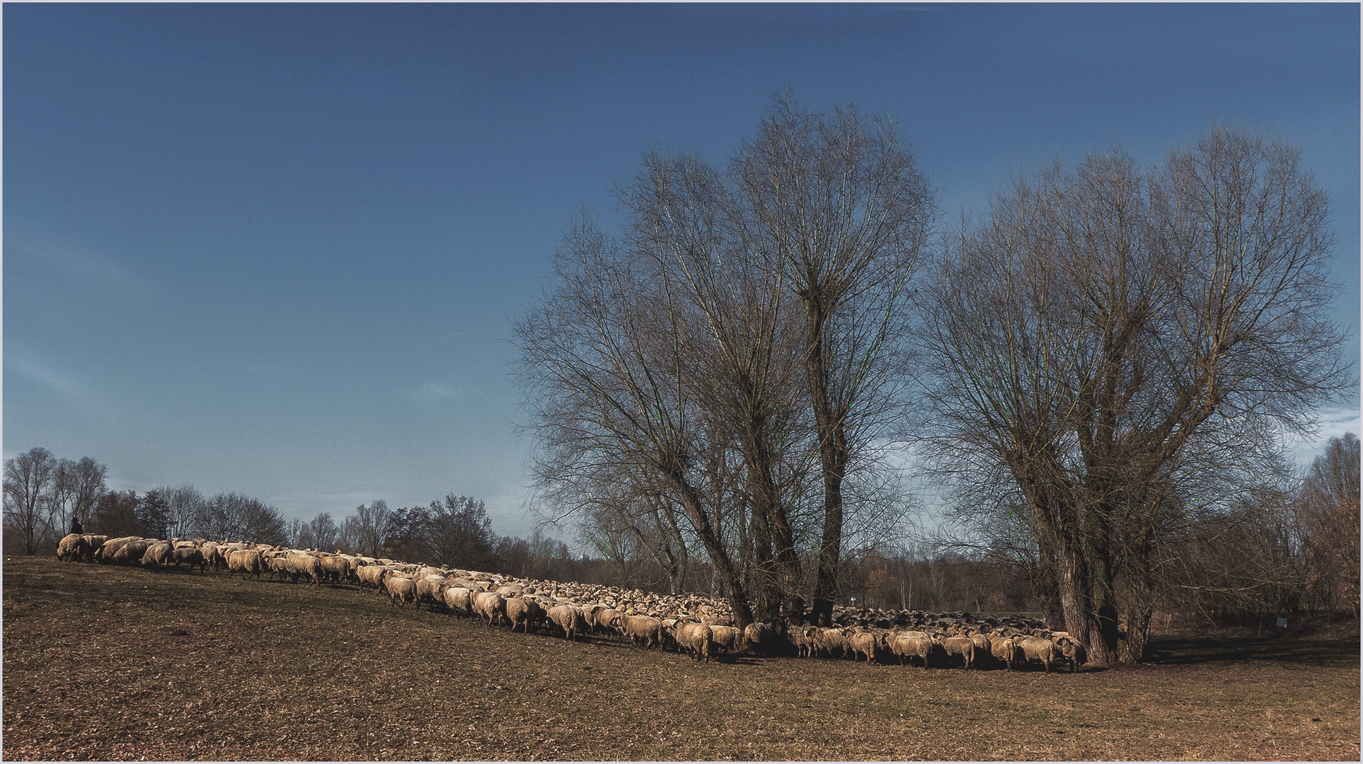 Dem Frühling entgegen