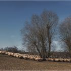 Dem Frühling entgegen