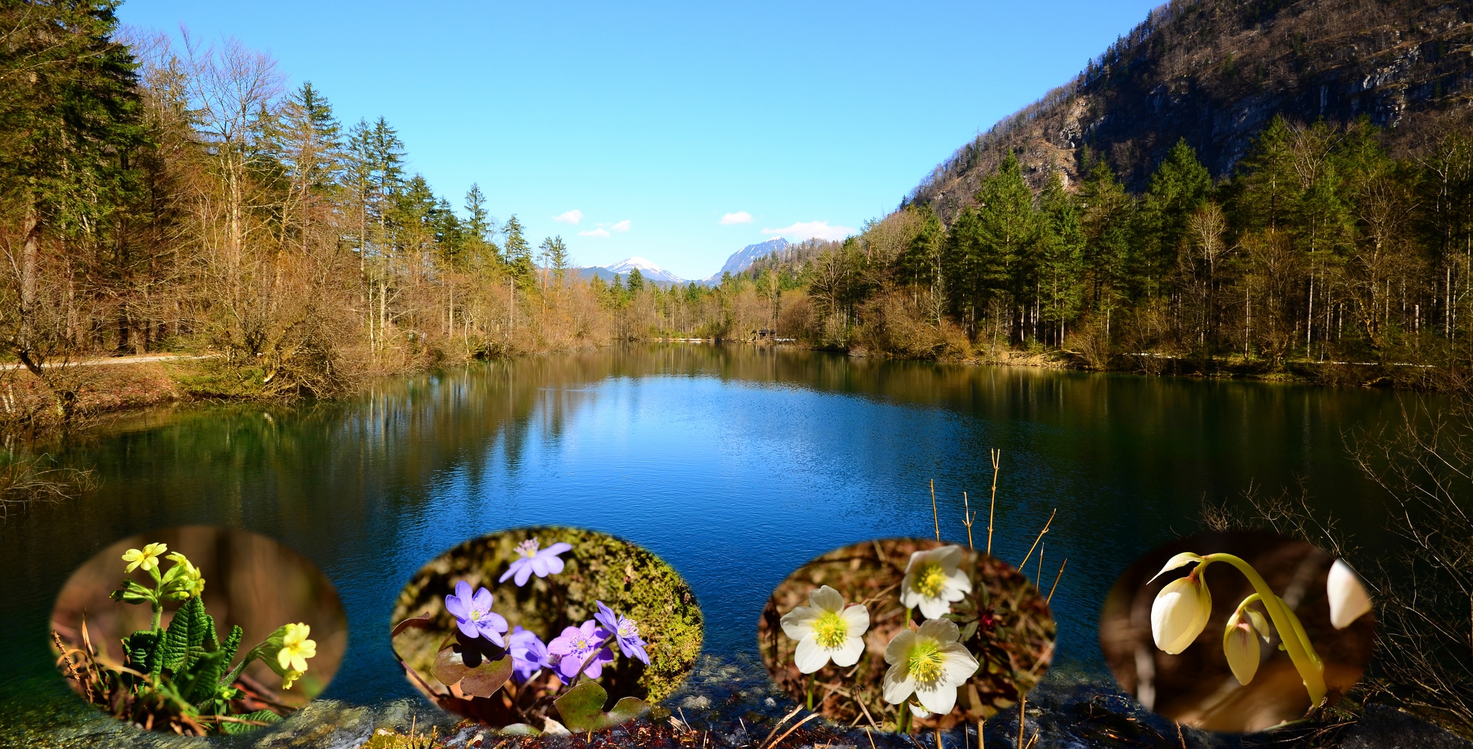 Dem Frühling entgegen - Bluntausee in Golling