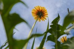 Dem Frühling entgegen