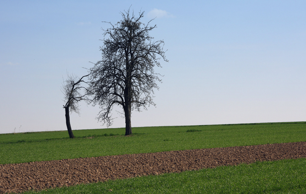 ... dem Frühling entgegen