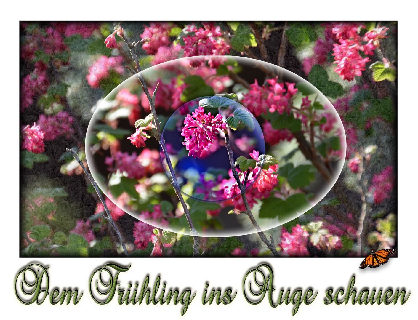 Dem Frühling ins Auge schauen