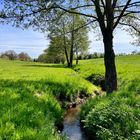 Dem Frühling ins Gesicht geschaut...