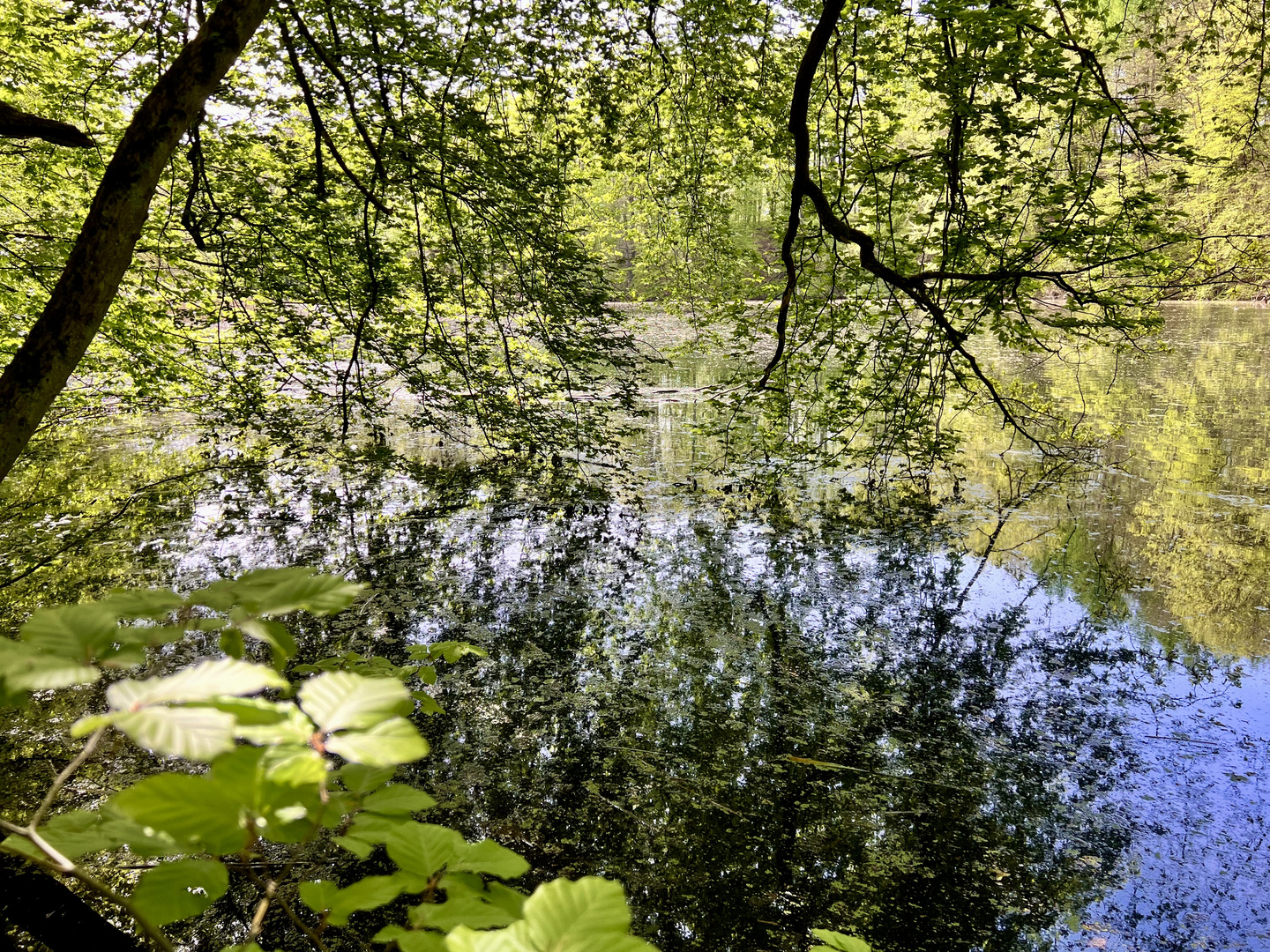 Dem Frühling ins Gesicht geschaut...