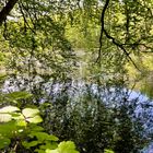 Dem Frühling ins Gesicht geschaut...