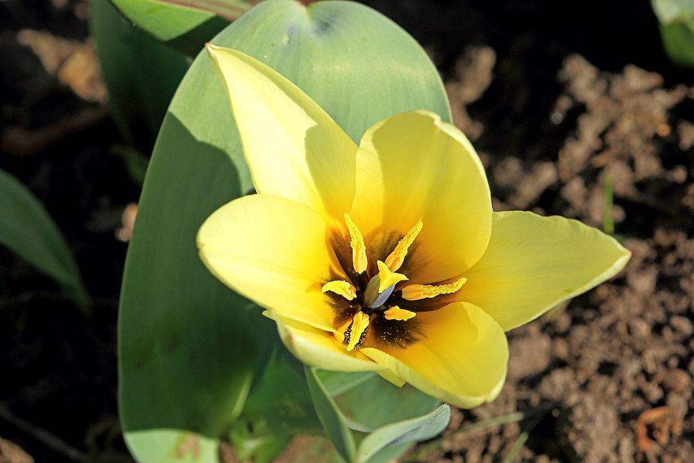 Dem Frühling ins Maul geschaut