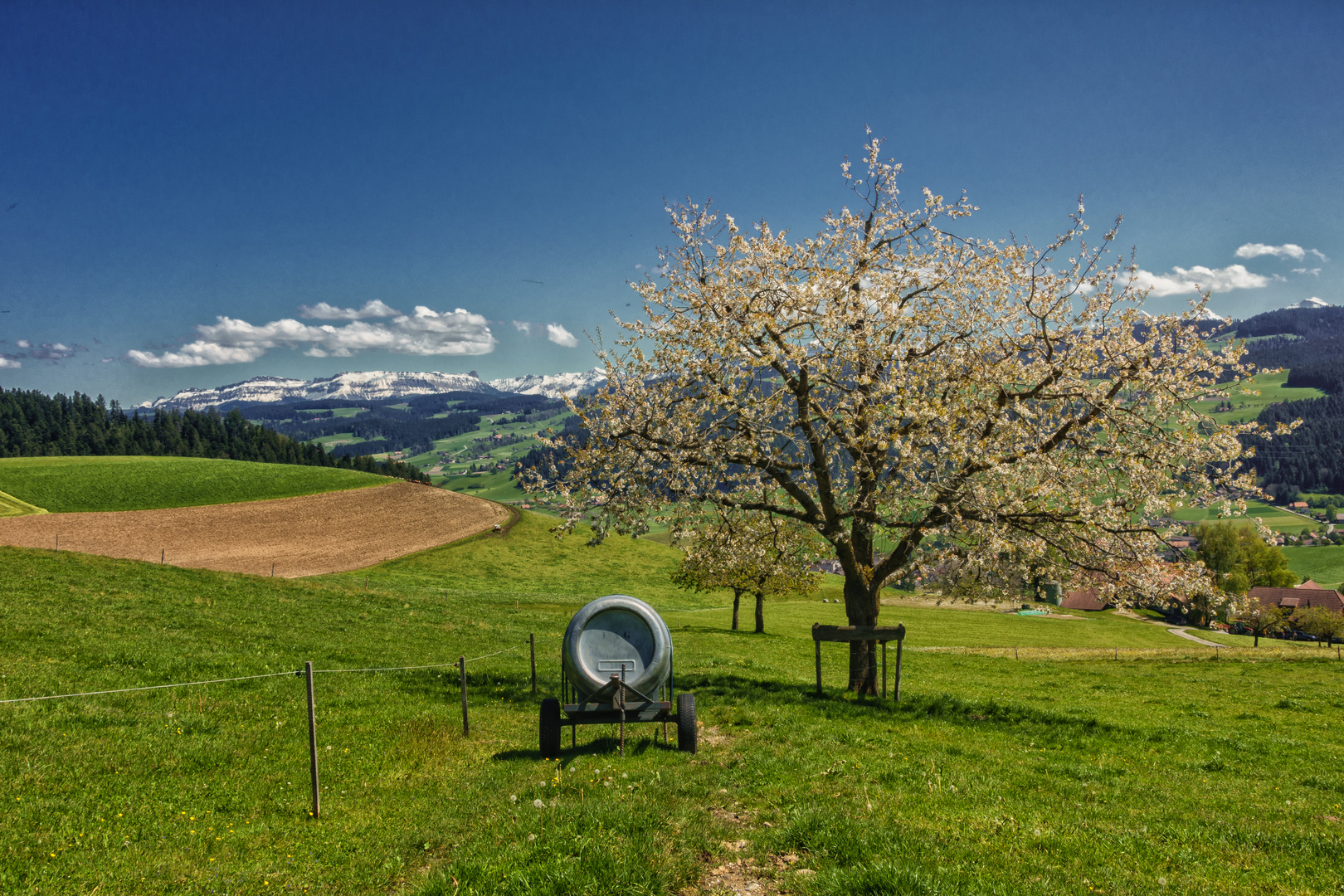 Dem Frühling so nah ...