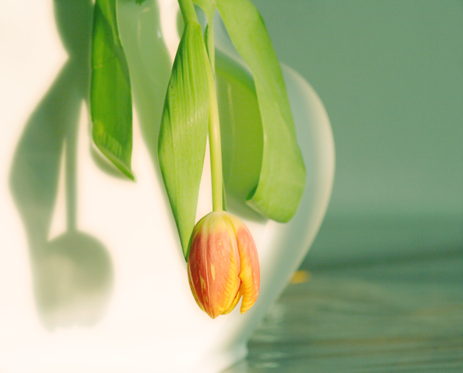 Dem Frühling versprochen