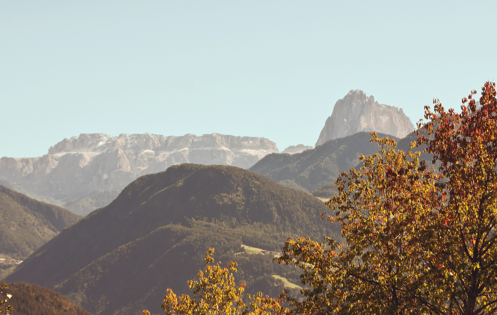 dem Grau in Nordtirol entflohen