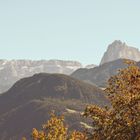 dem Grau in Nordtirol entflohen