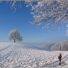 dem grauen Nebel von Zürich entflohen...