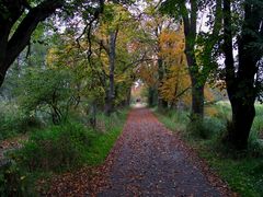 Dem Herbst auf der Spur