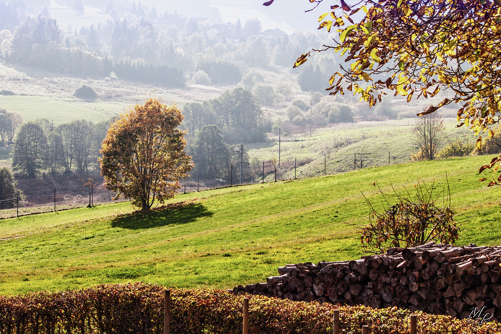 Dem Herbst entgegen