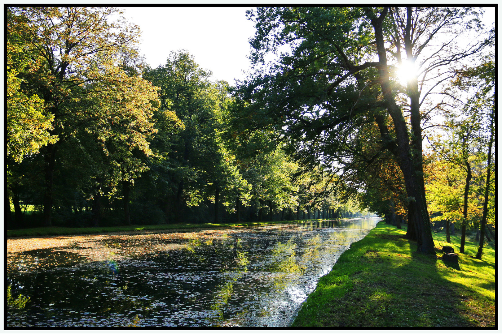 dem Herbst entgegen...