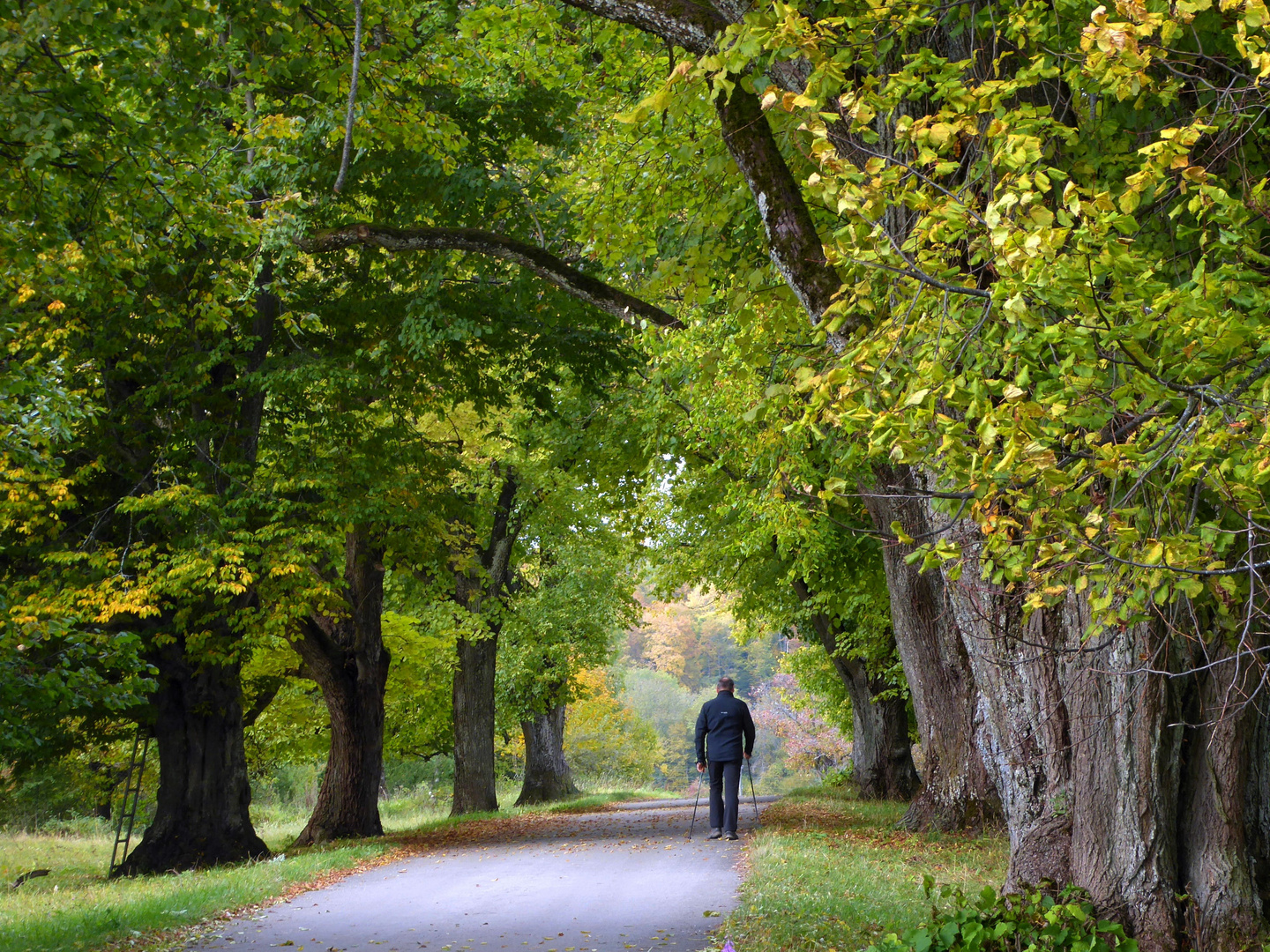 Dem Herbst entgegen...