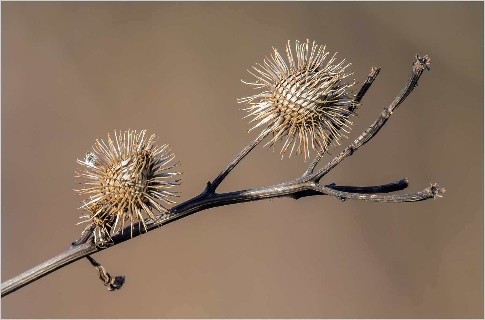 Dem Herbst und Winter trotzen  .....