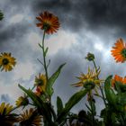 dem Himmel entgegen 2 HDR