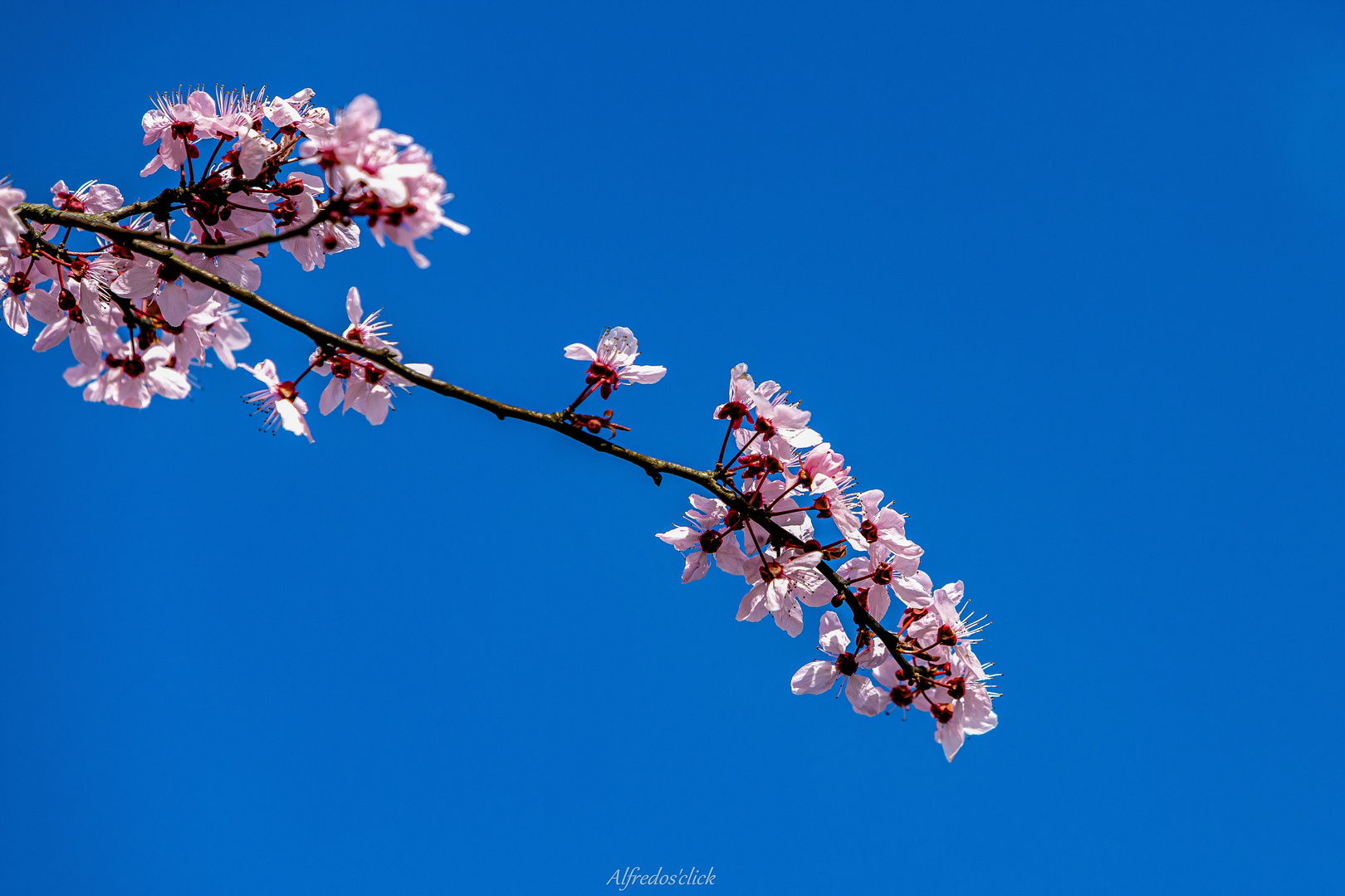 Dem Himmel entgegen