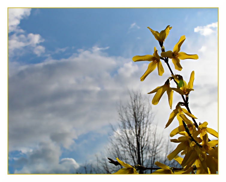 Dem Himmel entgegen...