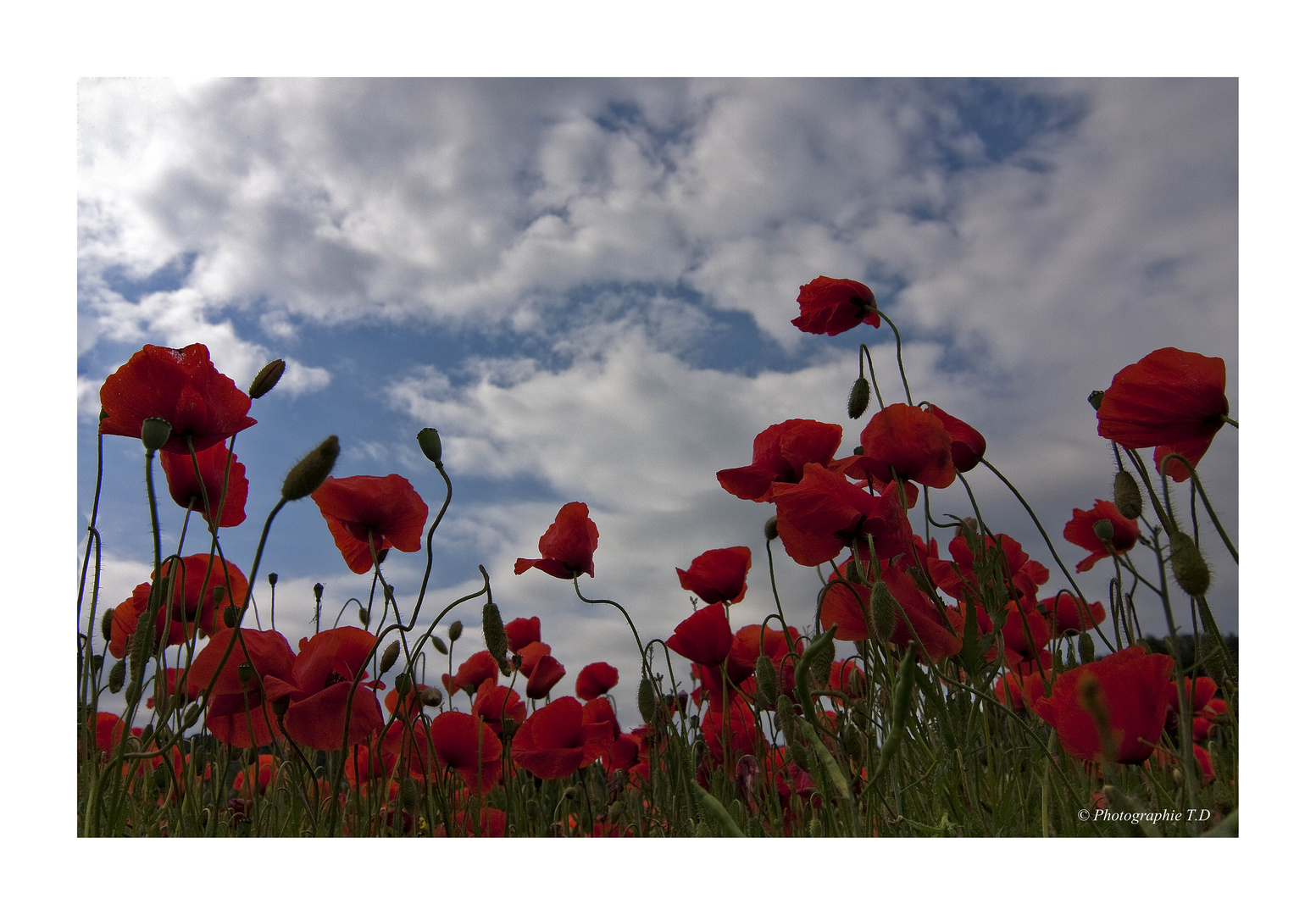 ...„dem Himmel entgegen“…..