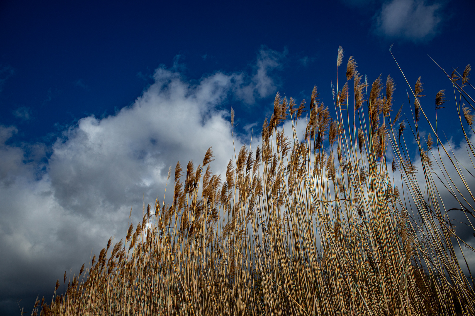 Dem Himmel entgegen