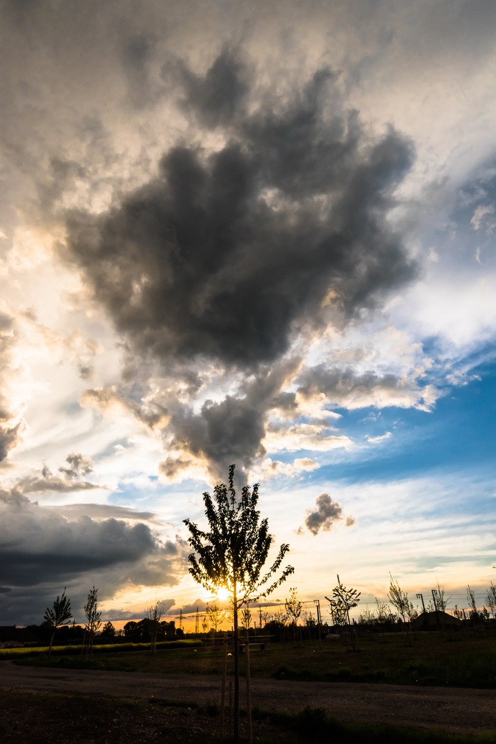 Dem Himmel entgegen...