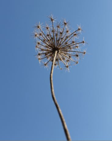 Dem Himmel entgegen!