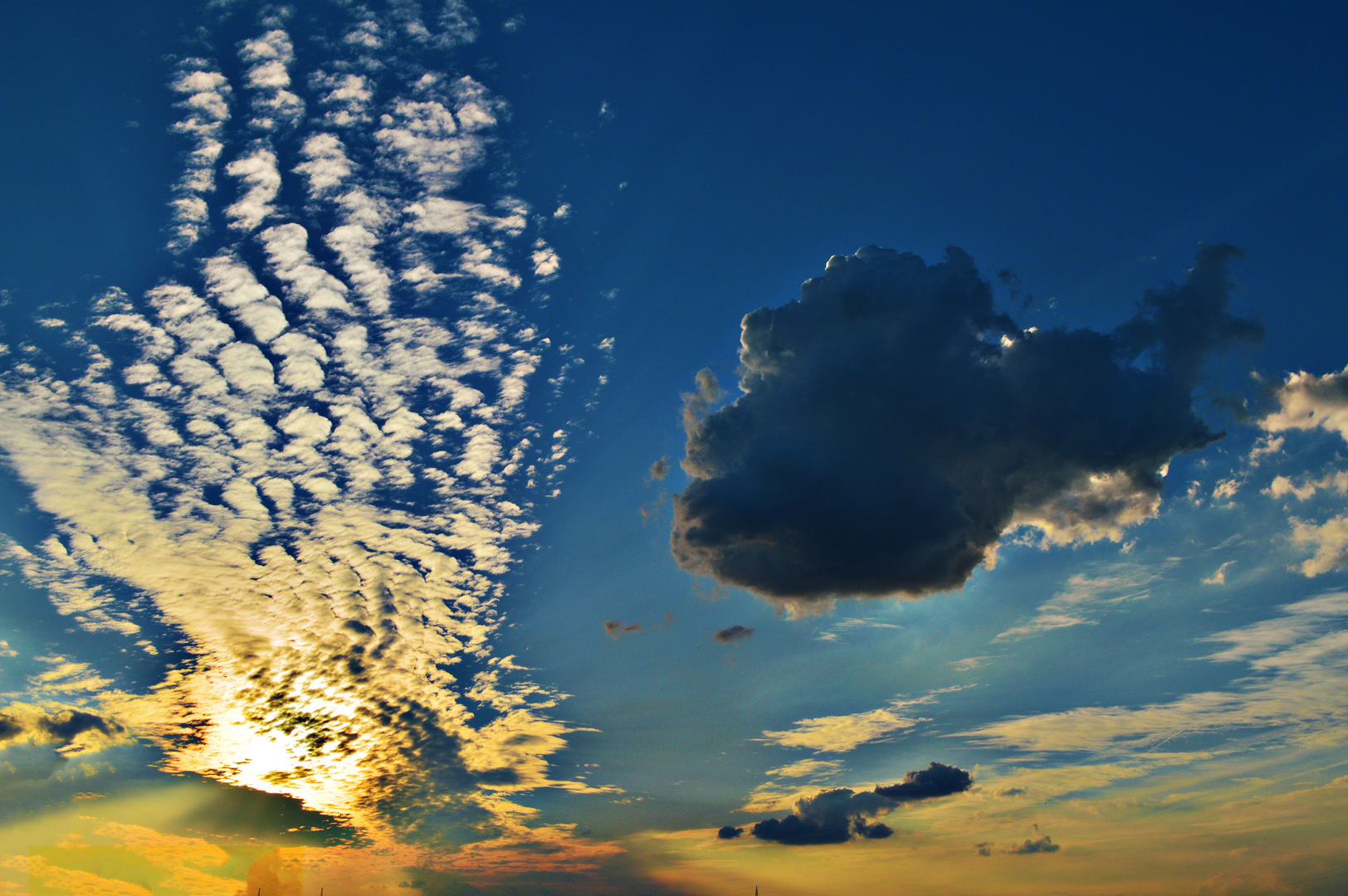 Dem Himmel entgegen geschwommen