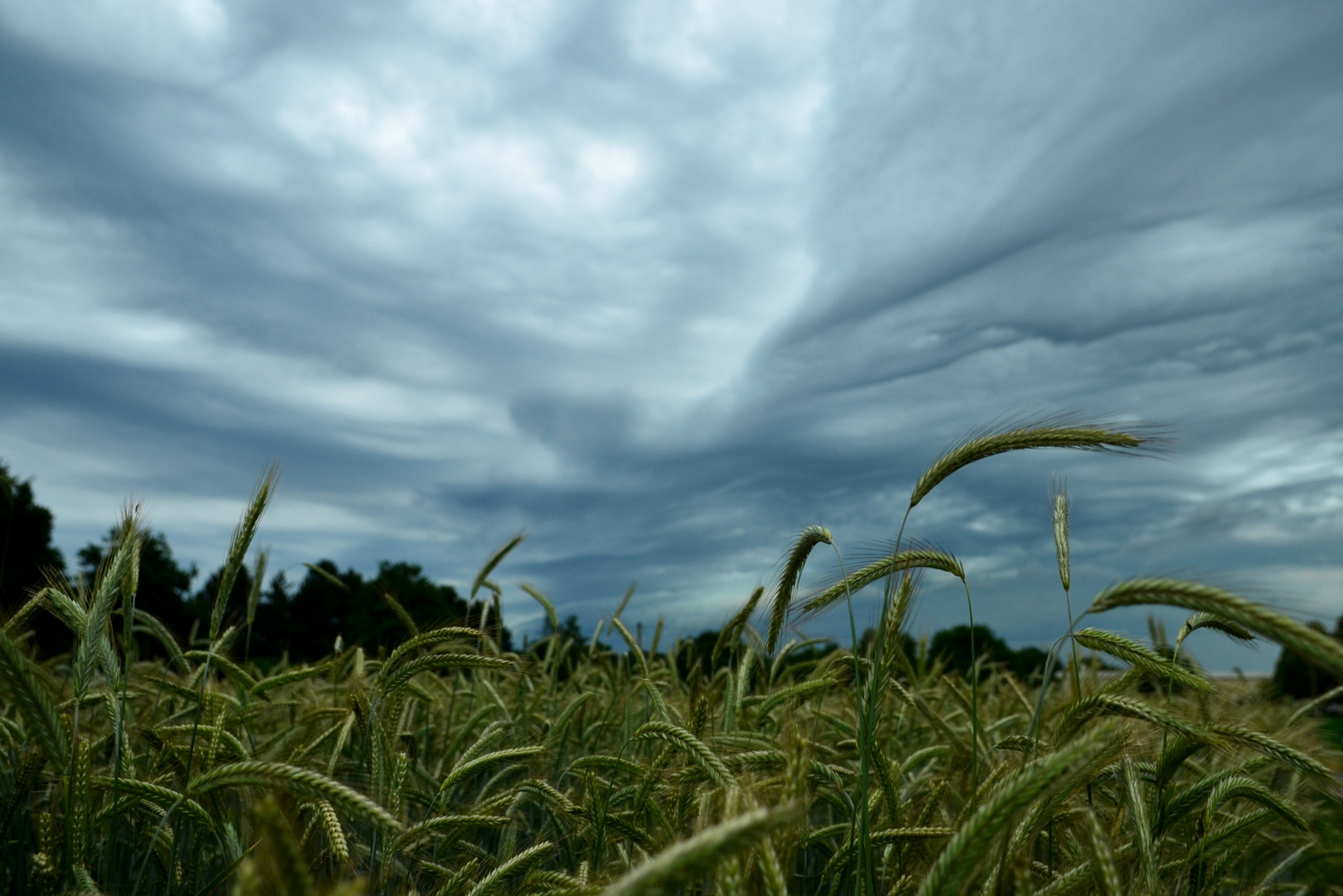 Dem Himmel geneigt sein