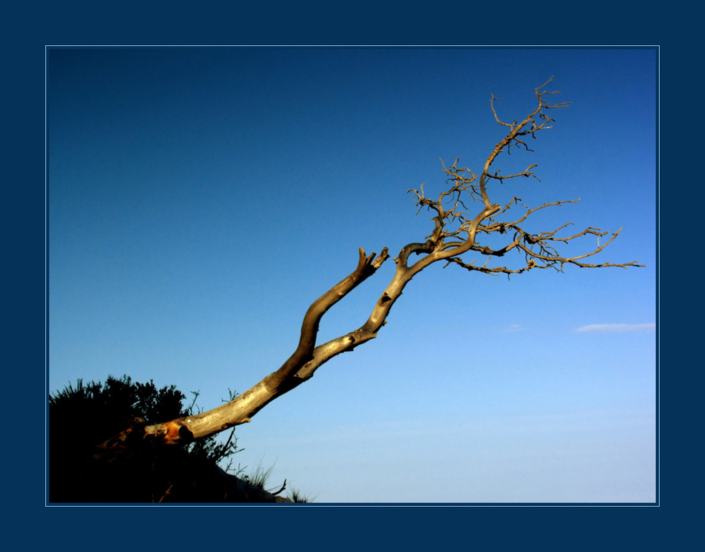 ...dem Himmel näher als dem Tod... - AUSSTELLUNGS-FOTO "WERDEN UND VERGEHEN"