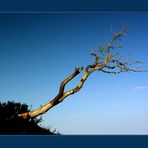 ...dem Himmel näher als dem Tod... - AUSSTELLUNGS-FOTO "WERDEN UND VERGEHEN"