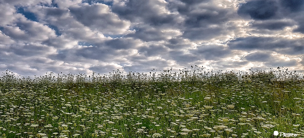 dem Himmel nah.....