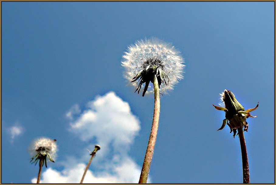 Dem Himmel nahe