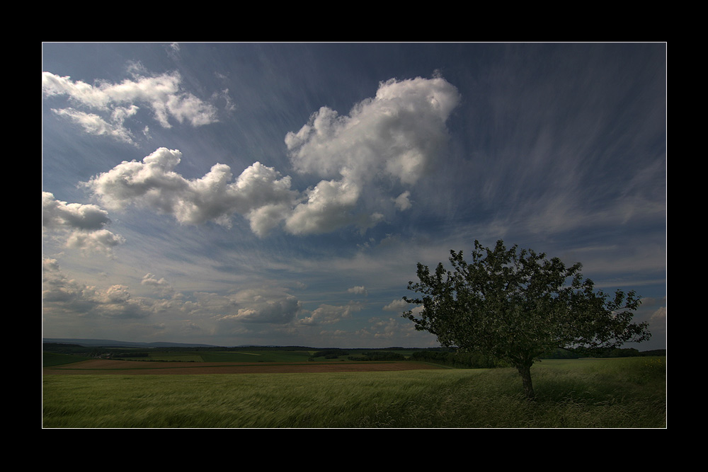 dem Himmel sei Dank