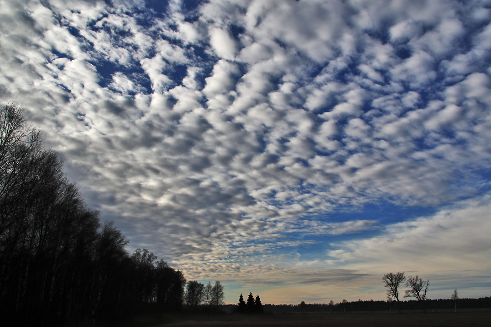 dem Himmel so nah