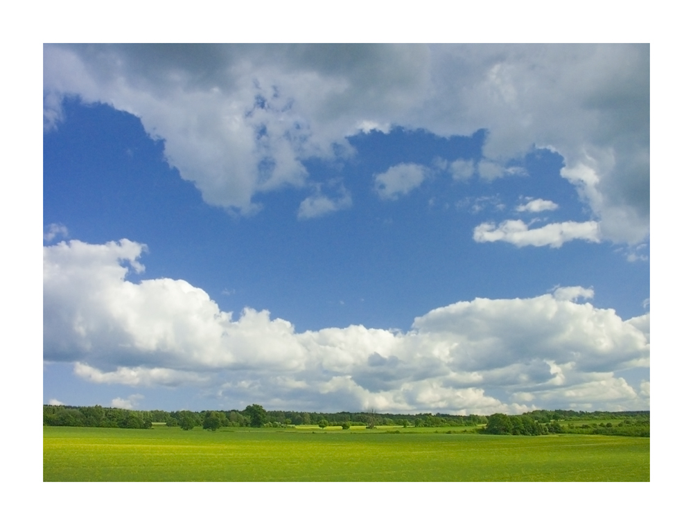 Dem Himmel zugewandt... - Hellblau, die Farbe der Sorglosigkeit...